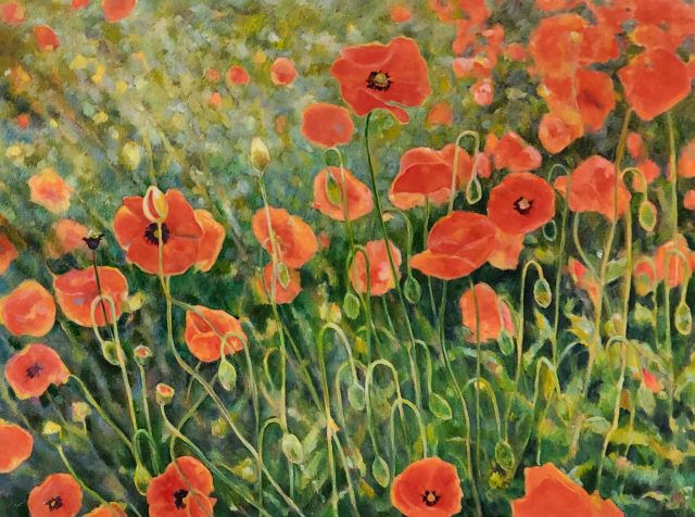 Poppies oil painting by Elizabeth Ross