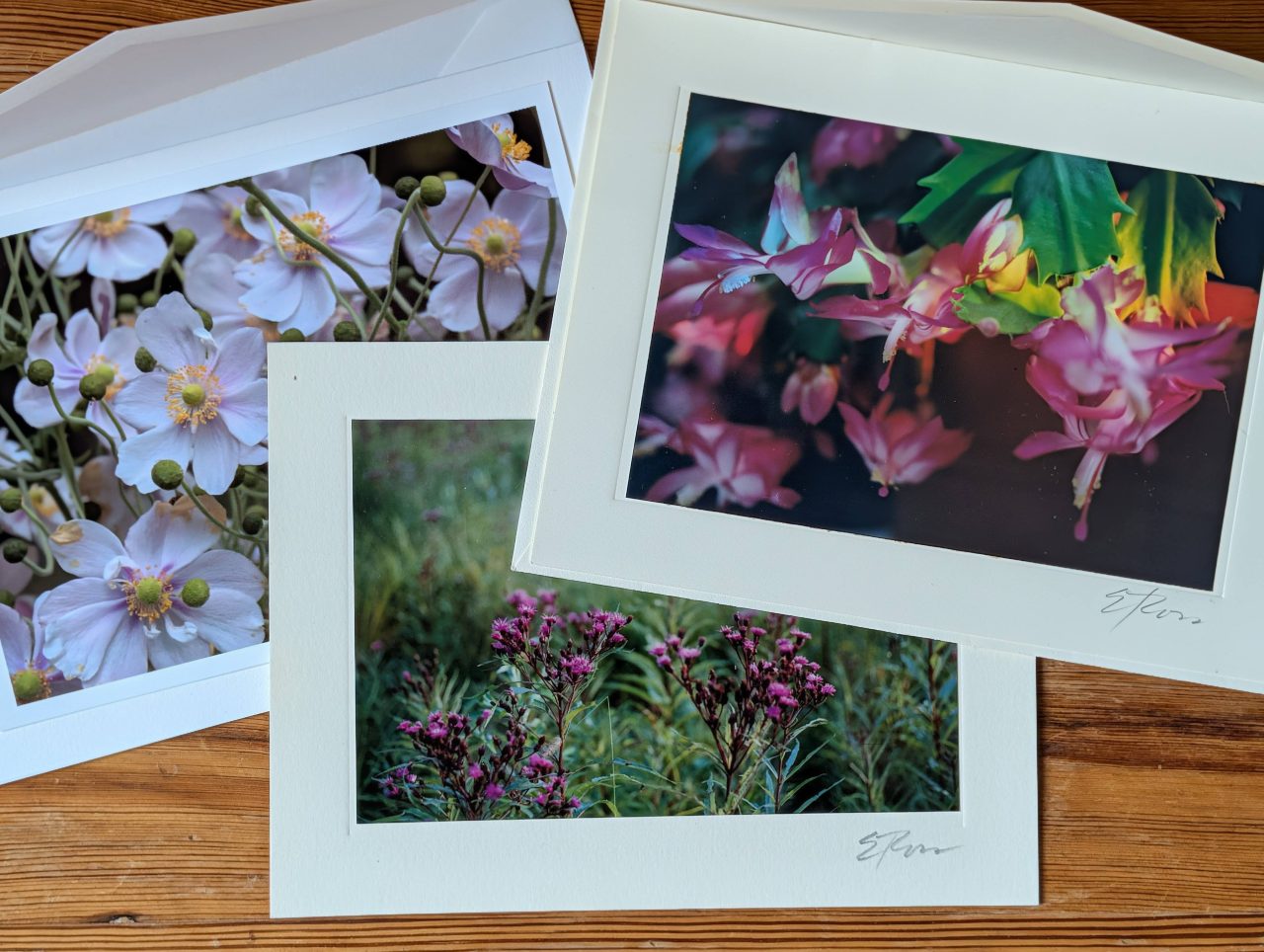 Photography Cards by Elizabeth Ross